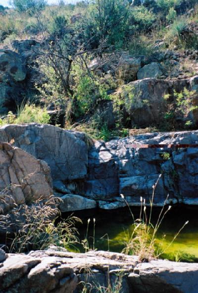 103 Bond Canyon Road Rio Rico, AZ 85648 - Photo 2 of 8