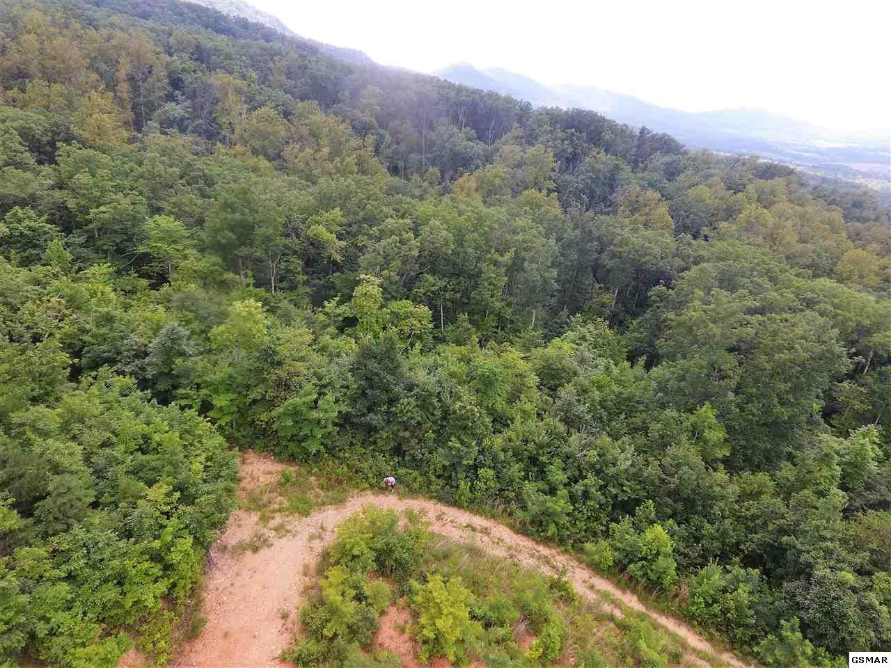 0 Collier Loop Dandridge, TN 37725 - Photo 10 of 35 Gallery Image 10