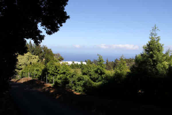 11 Niupea Homestead Road Ookala, HI 96774 - Photo 1 of 10 Gallery Image 1