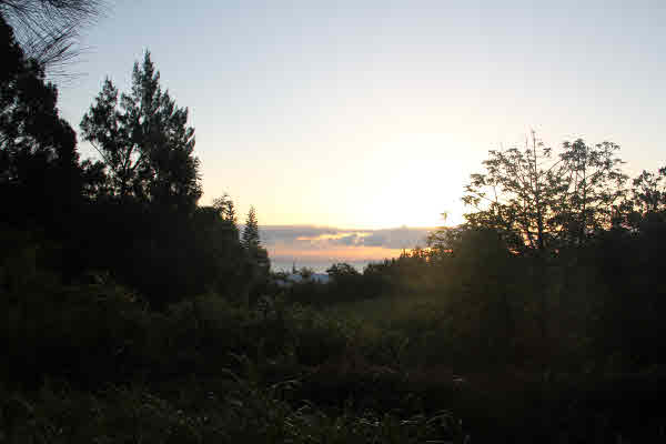 11 Niupea Homestead Road Ookala, HI 96774 - Photo 3 of 10 Gallery Image 3