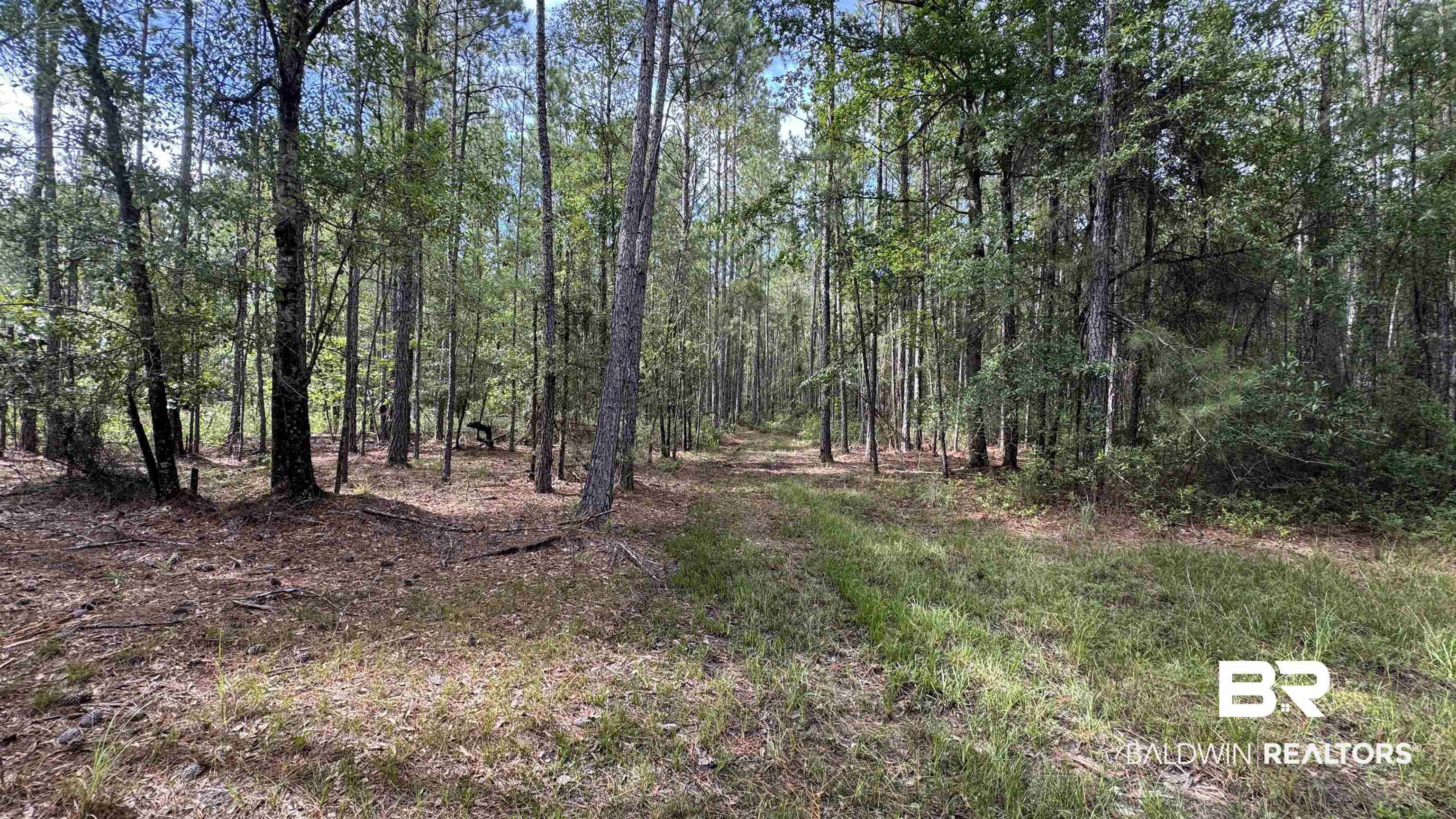 66409 James Road Stockton, AL 36579 - Photo 14 of 35
