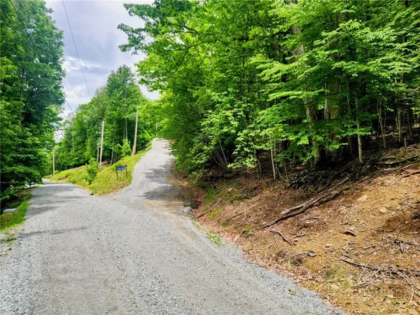 a view of a pathway with a yard