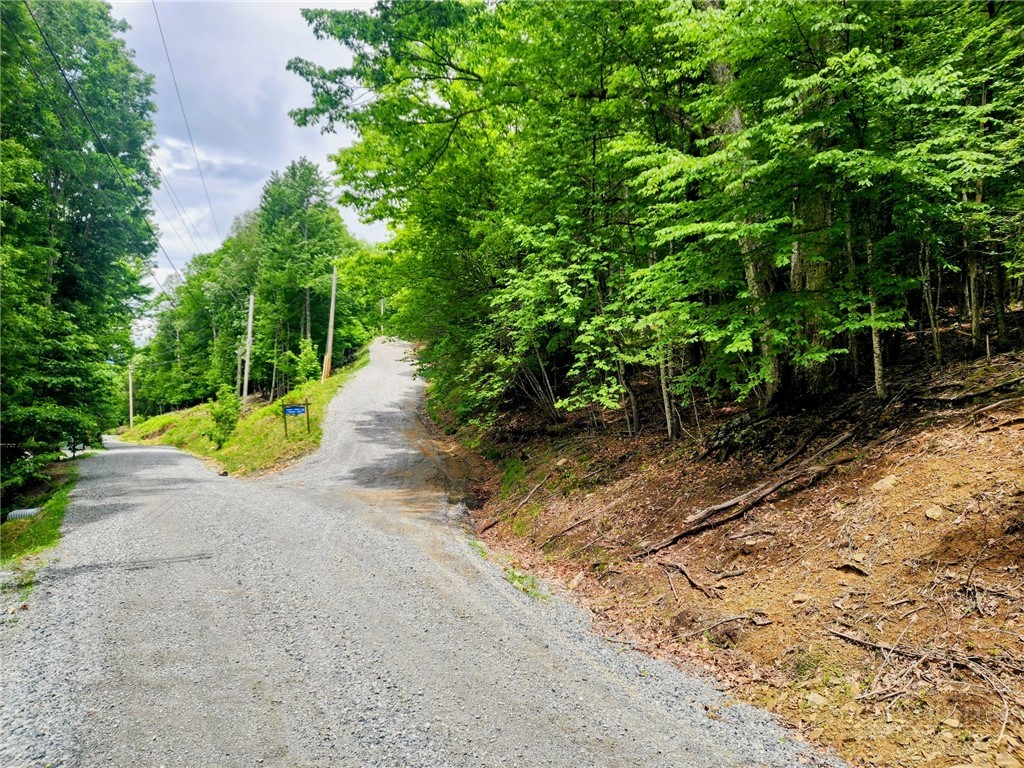 a view of a pathway with a yard