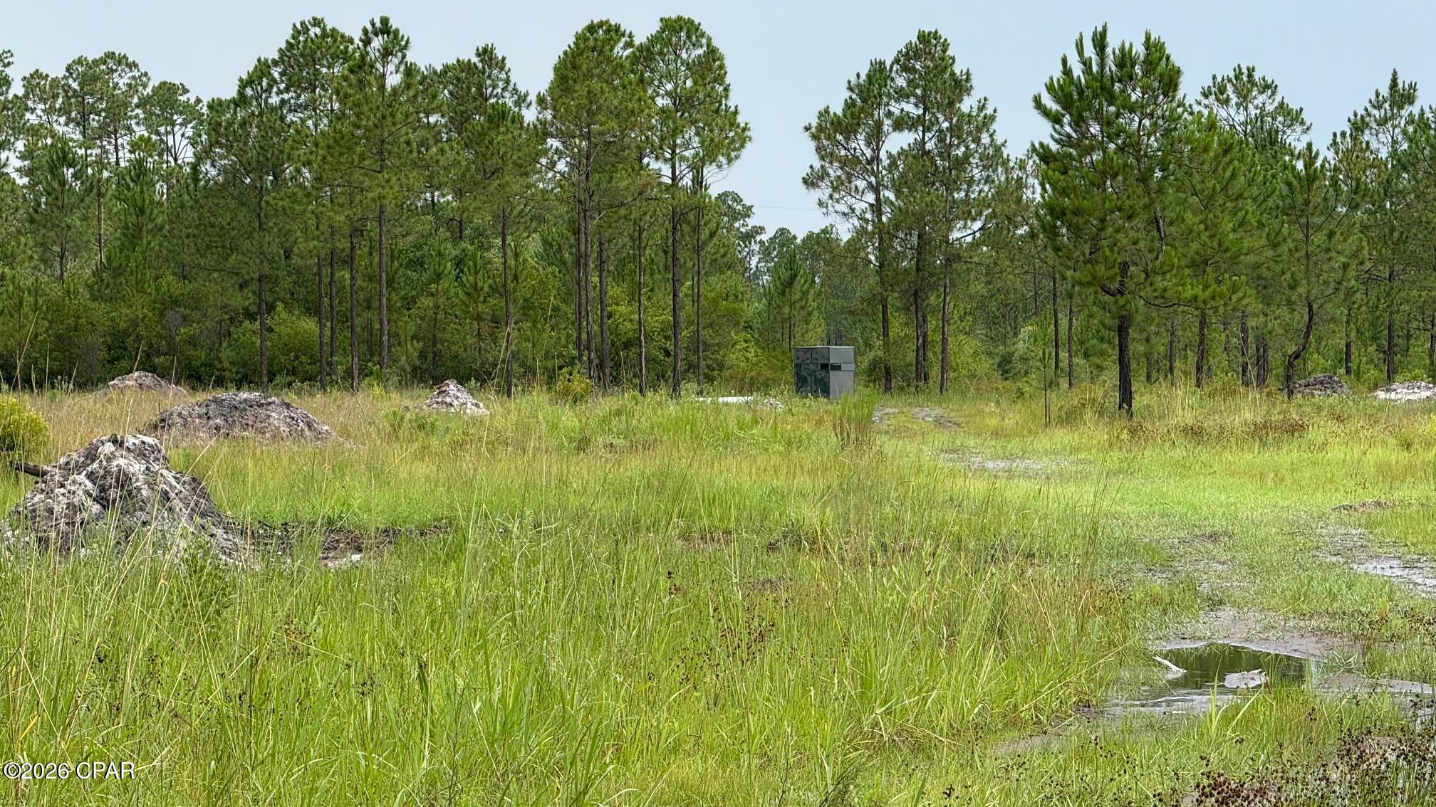 0 Foster Road Fountain, FL 32438 - Photo 2 of 5
