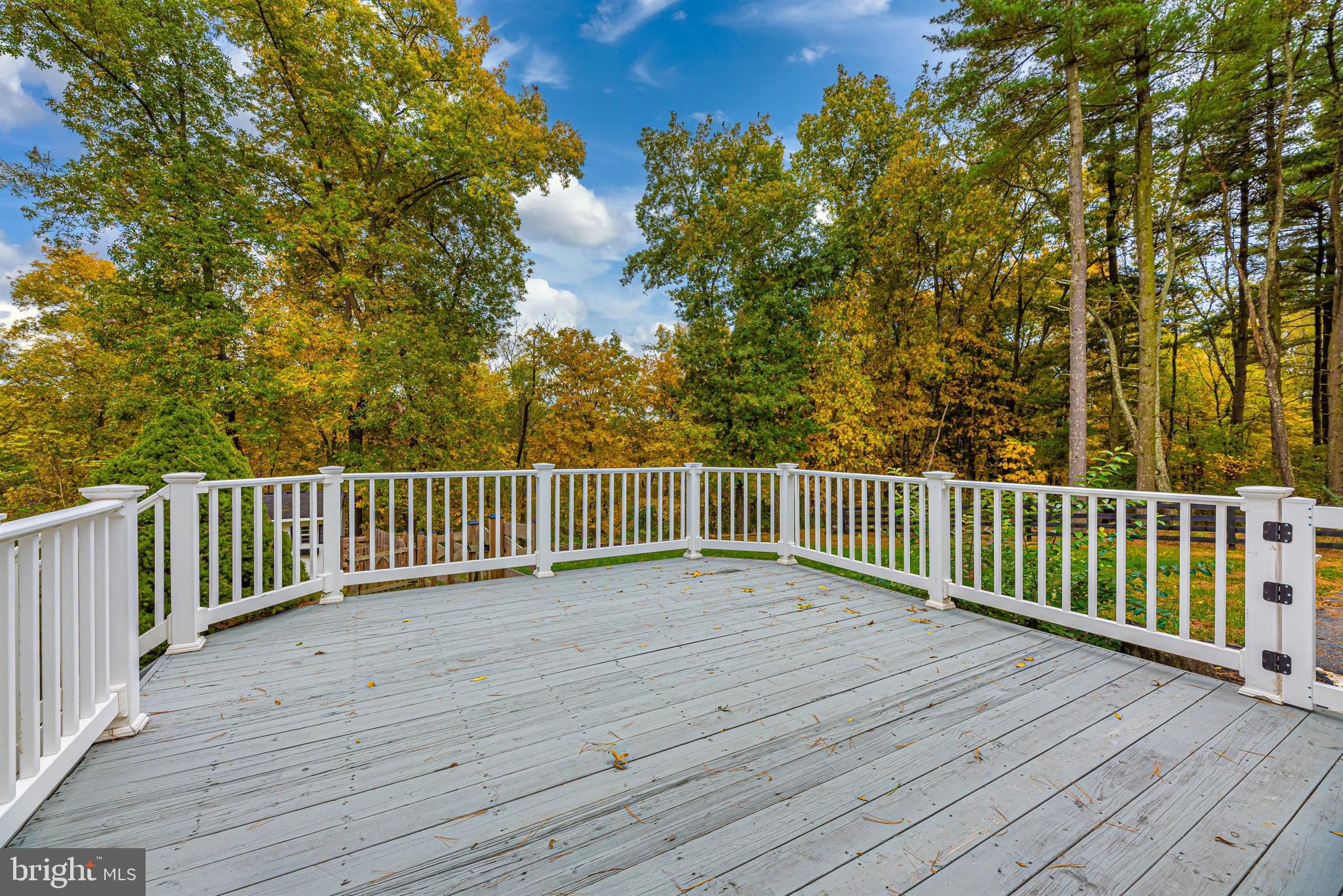 12551 New Windsor Road Union Bridge, MD 21791 - Photo 38 of 47 View from Deck - backing to Trees
