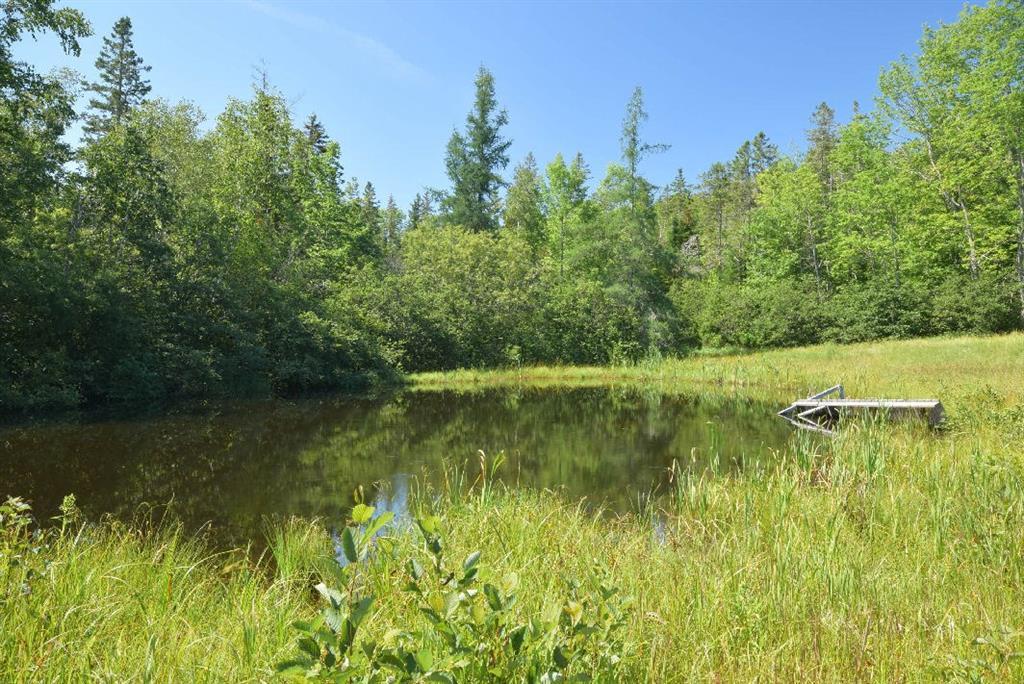 25 Kelly Point Road Lubec, ME 04652 - Photo 19 of 22 Pond