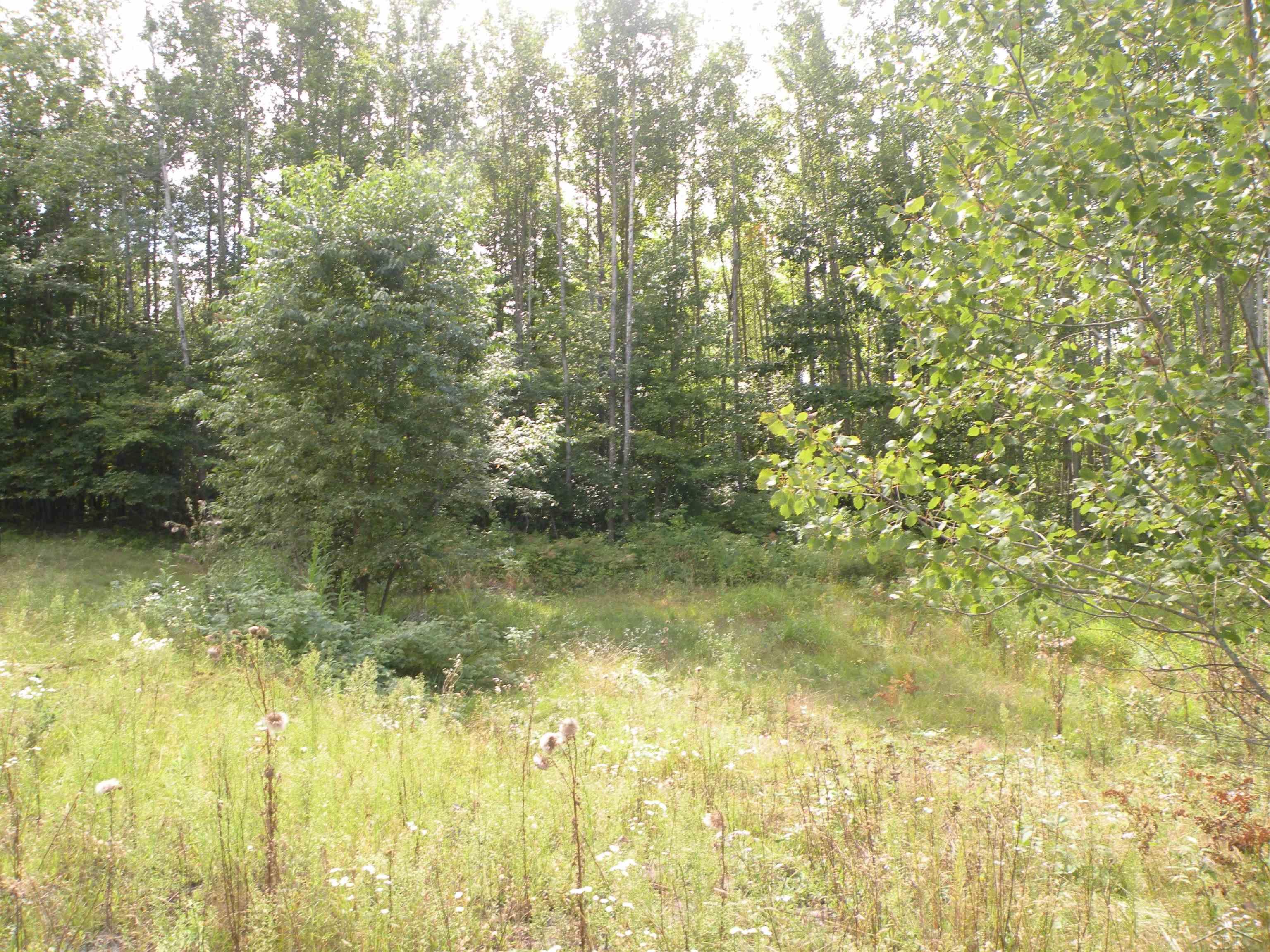 North County Line Road Farwell, MI 48622 - Photo 12 of 18