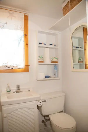 a bathroom with a toilet a sink and a window