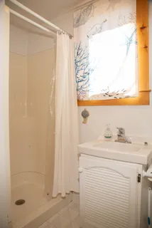 a bathroom with a sink a vanity and a shower