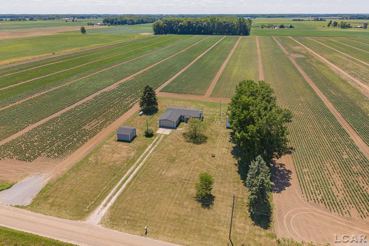 5137 Cook Road Palmyra, MI 49268 - Photo 37 of 44