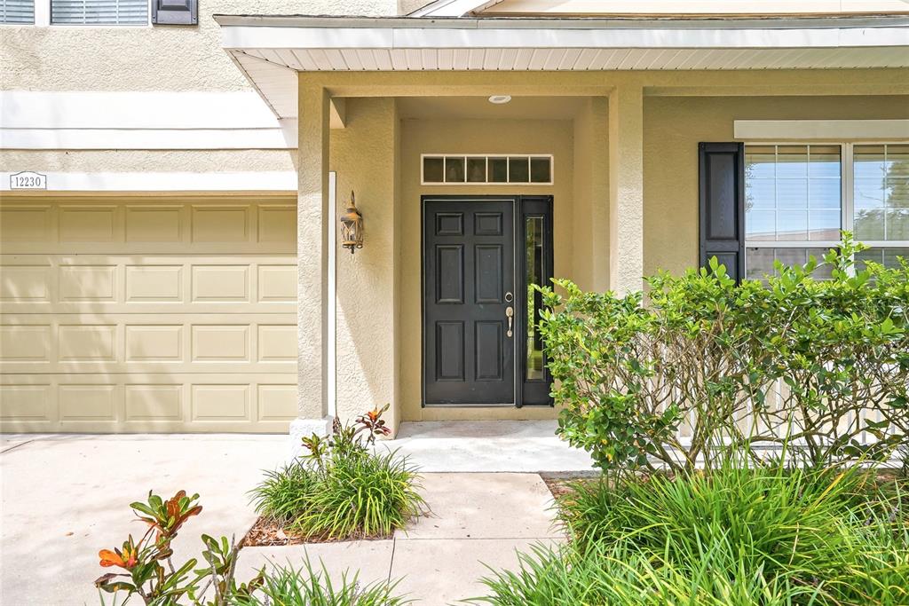 12230 Colony Lakes Boulevard New Port Richey, FL 34654 - Photo 6 of 56