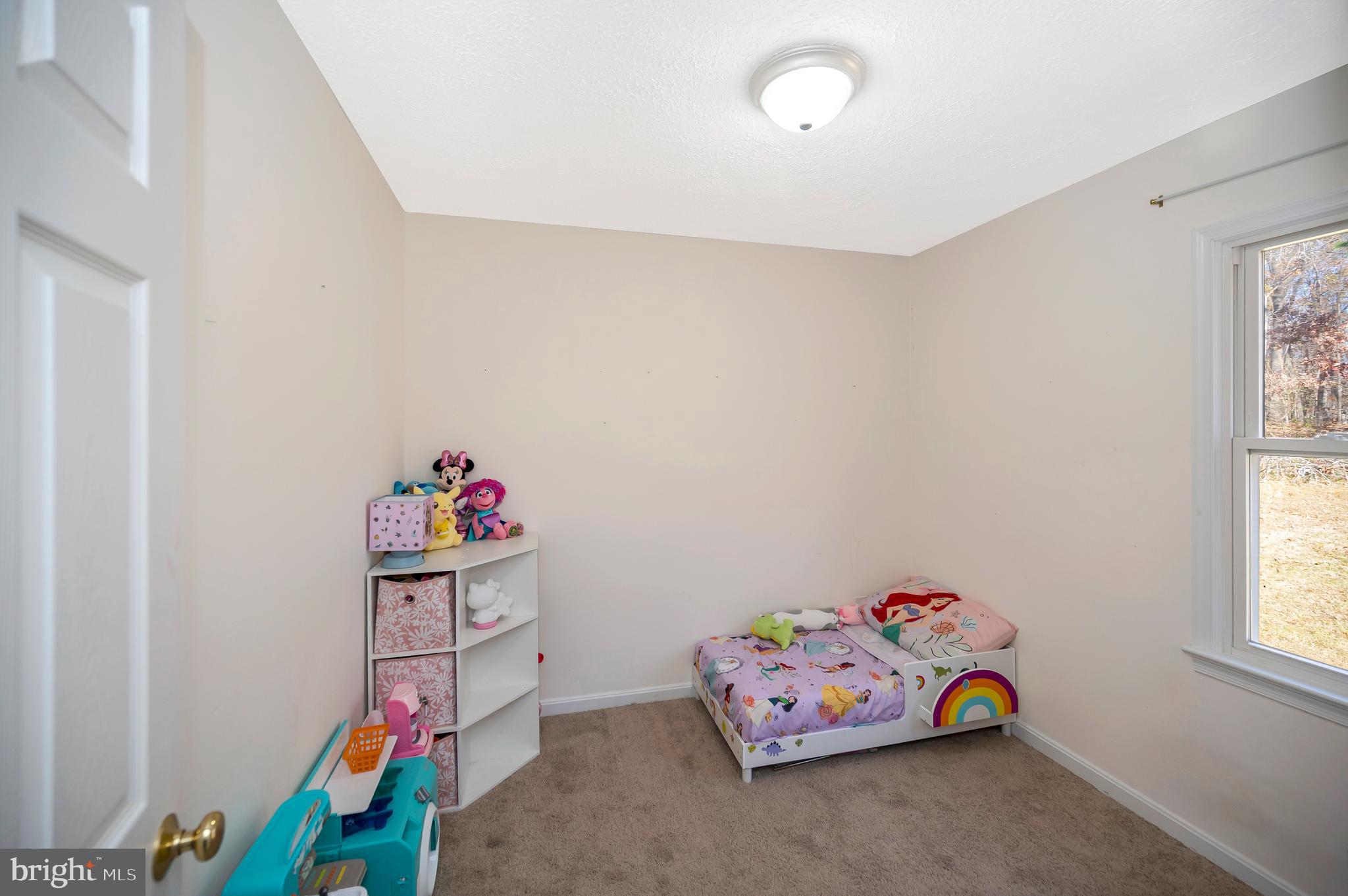 9577 Roys Lane Culpeper, VA 22701 - Photo 17 of 42 a room with toys and a window