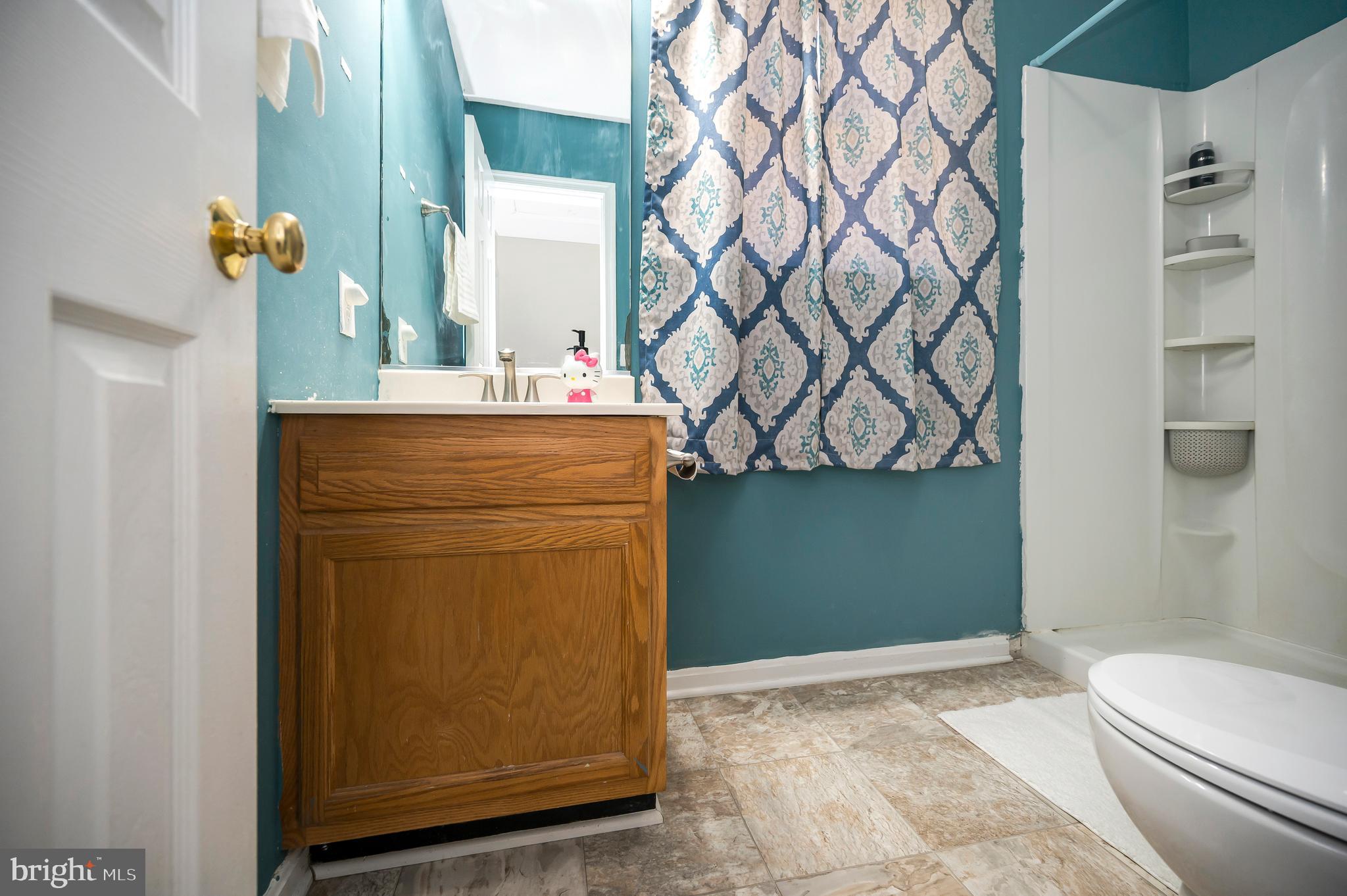 9577 Roys Lane Culpeper, VA 22701 - Photo 22 of 41 a bathroom with a sink a toilet and mirror
