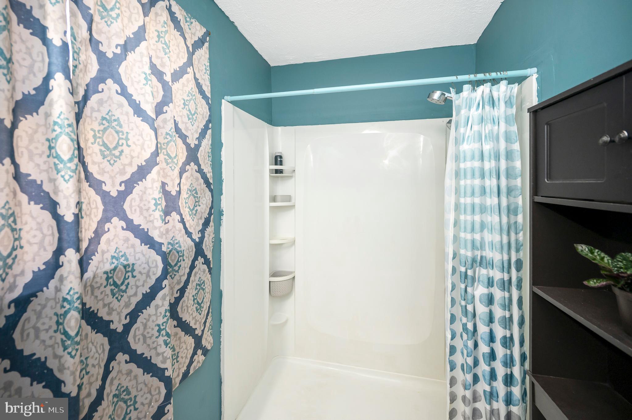 9577 Roys Lane Culpeper, VA 22701 - Photo 23 of 41 a bathroom with a shower and a tub