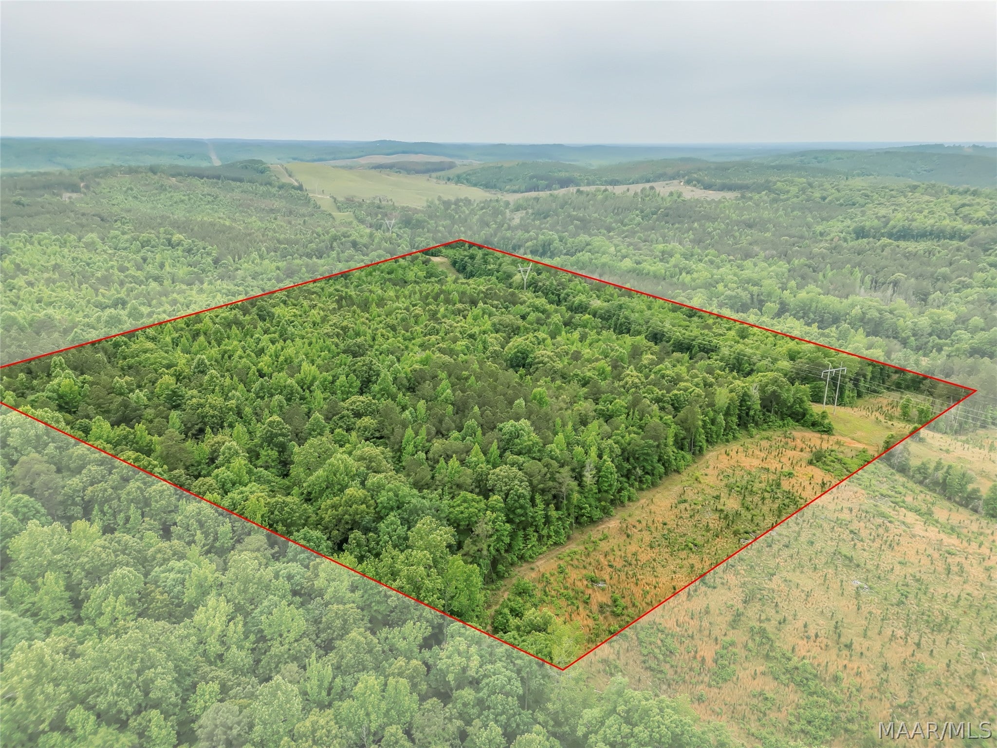 0 Lagrone Road Moundville, AL 35474 - Photo 3 of 13 Gallery Image 3