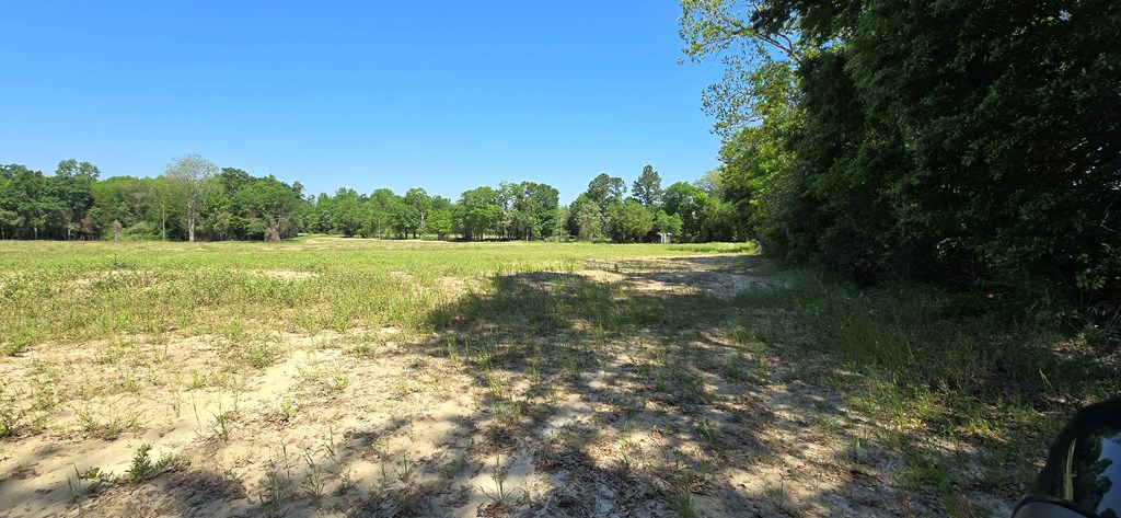 4.4-acres Lot 8 Grady Garner Road Slocomb, AL 36375 - Photo 12 of 18 Gallery Image 12