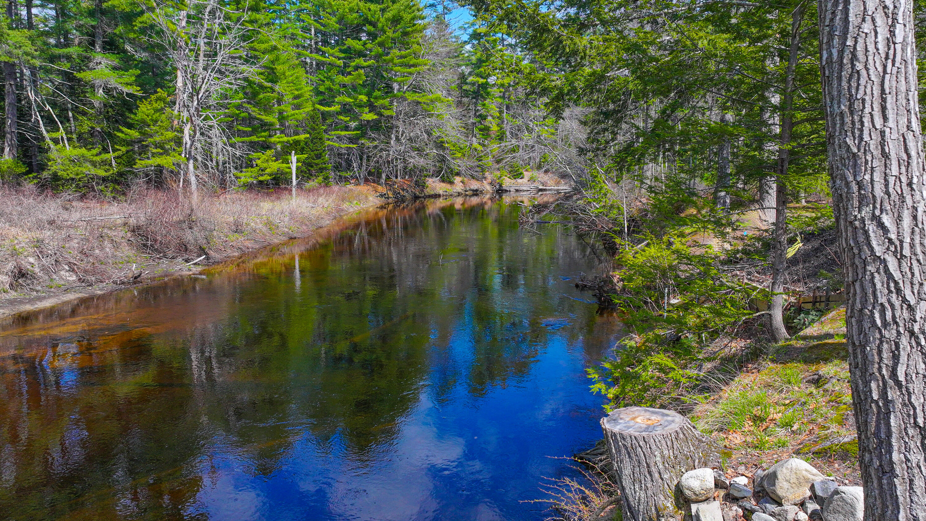 26 Dragon Back Road Naples, ME 04055 - Photo 18 of 40 26 dragonback road-34