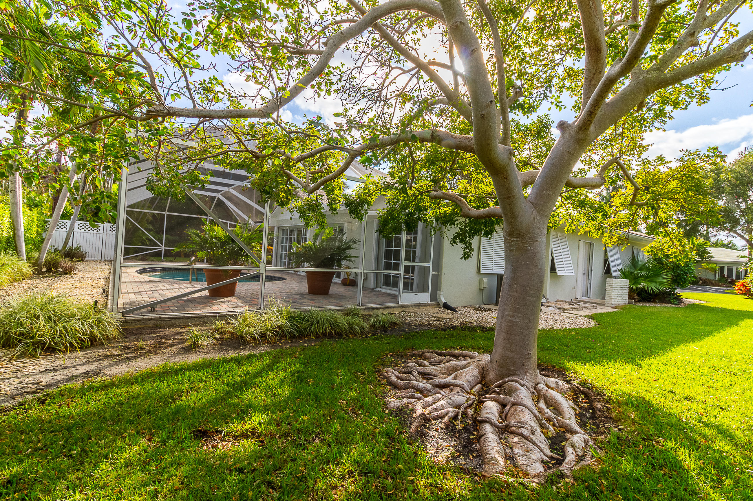 801 Northeast 5th Street Boca Raton, FL 33432 - Photo 28 of 32 Gumbo Limbo tree west of pool/patio