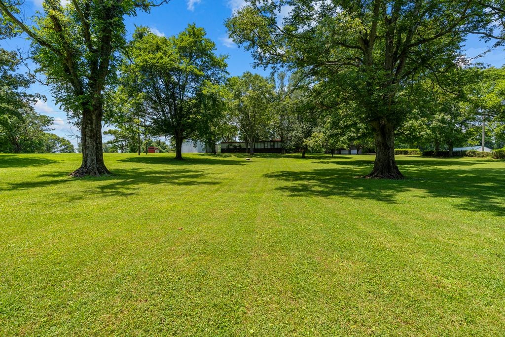 204 Butler Lane Hermitage, TN 37076 - Photo 10 of 13
