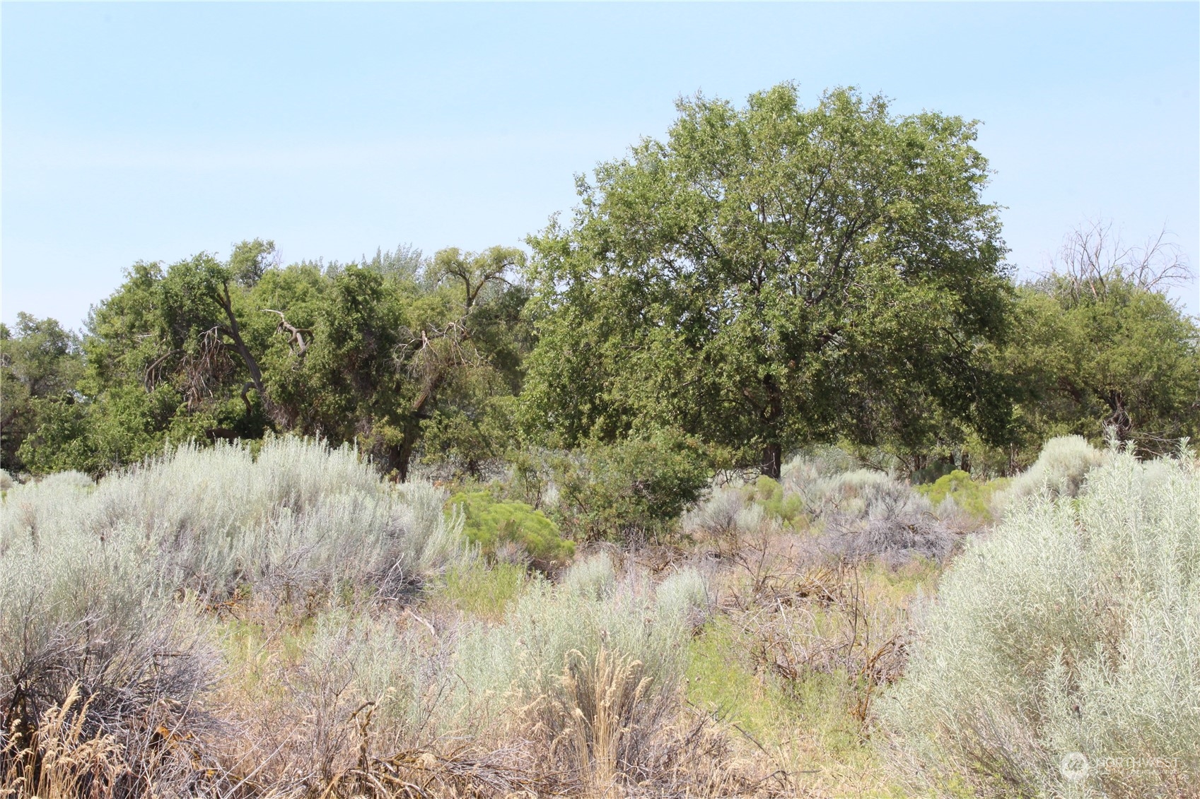 0 West Sage Road Moses Lake, WA 98837 - Photo 1 of 1 Gallery Image 1