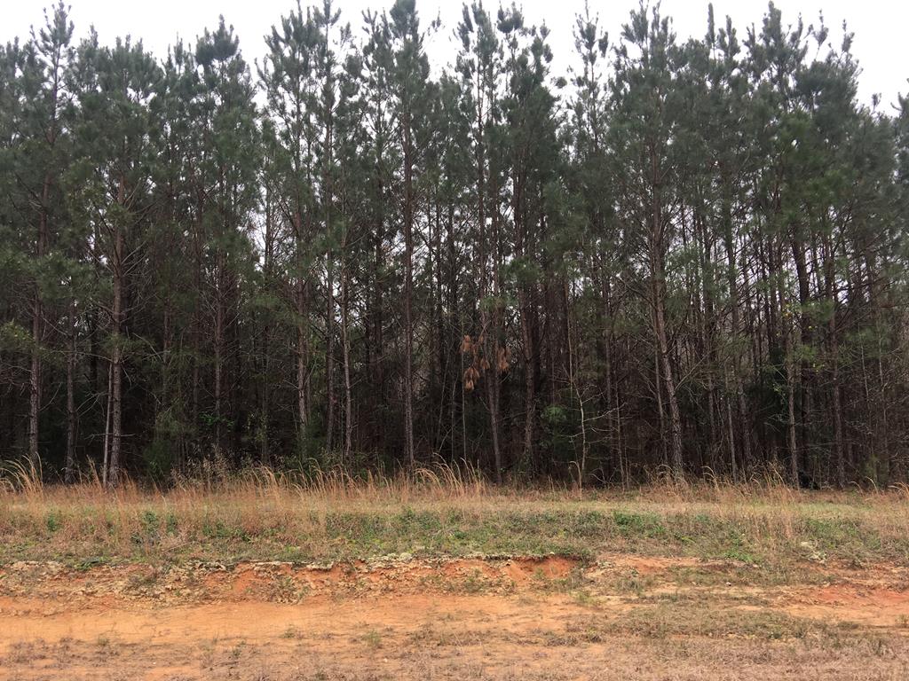 Lot 9 Baker Road Acworth, GA 30101 - Photo 1 of 2 Main View