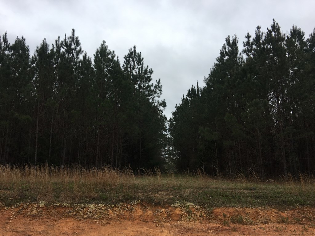 Lot 9 Baker Road Acworth, GA 30101 - Photo 2 of 2 Gallery Image 2