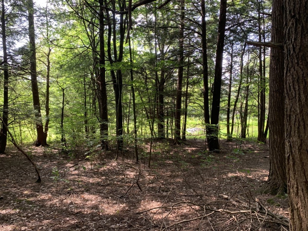 338 Bull Creek Road Whitney Point, NY 13862 - Photo 15 of 15