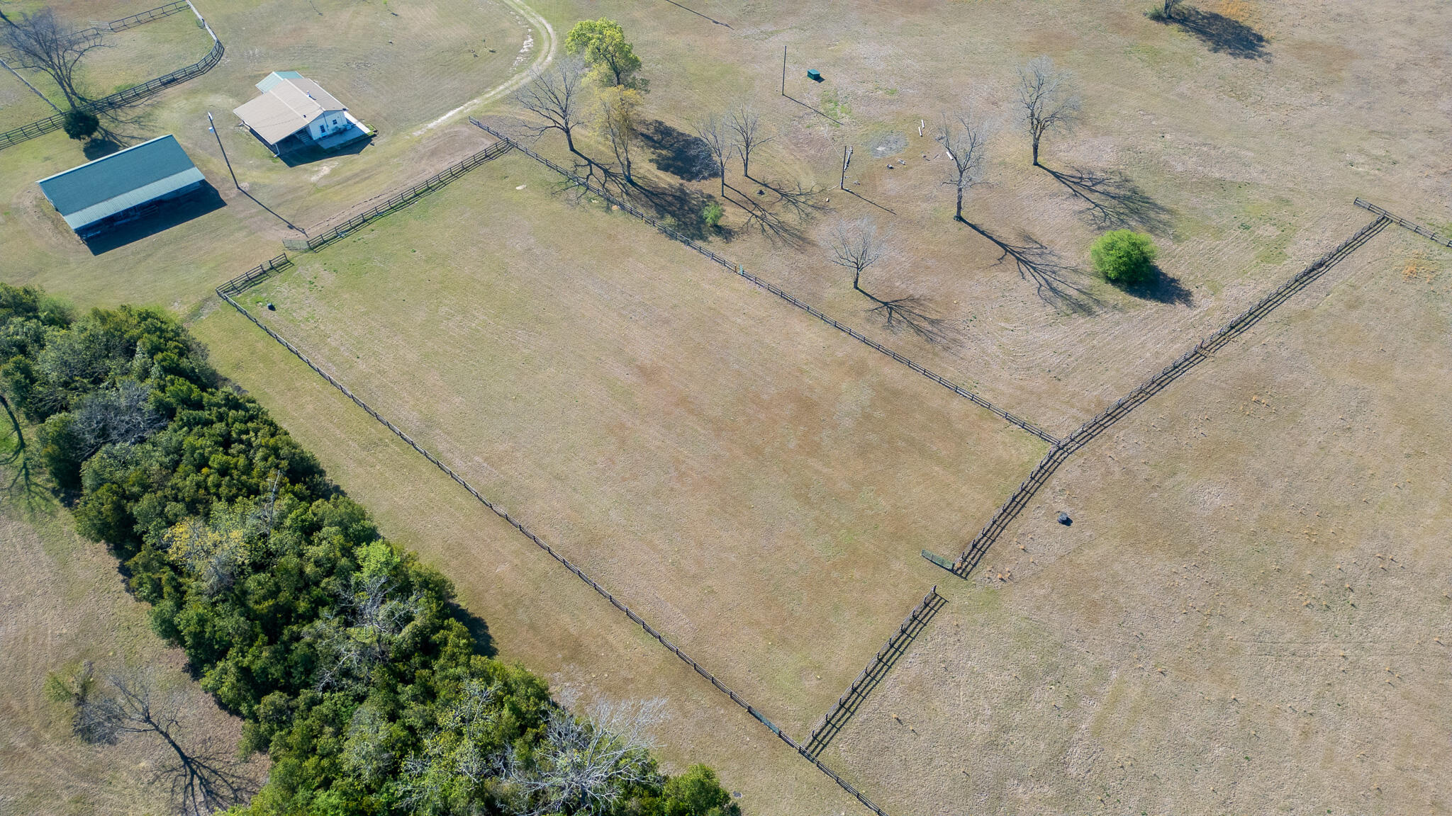 252 Moseley Road Williston, SC 29853 - Photo 61 of 64
