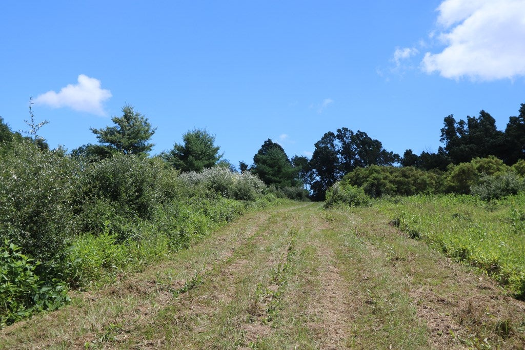 Tbd Southwest Tbd Sw Black Ridge Road Floyd, VA 24091 - Photo 12 of 22 Gallery Image 12