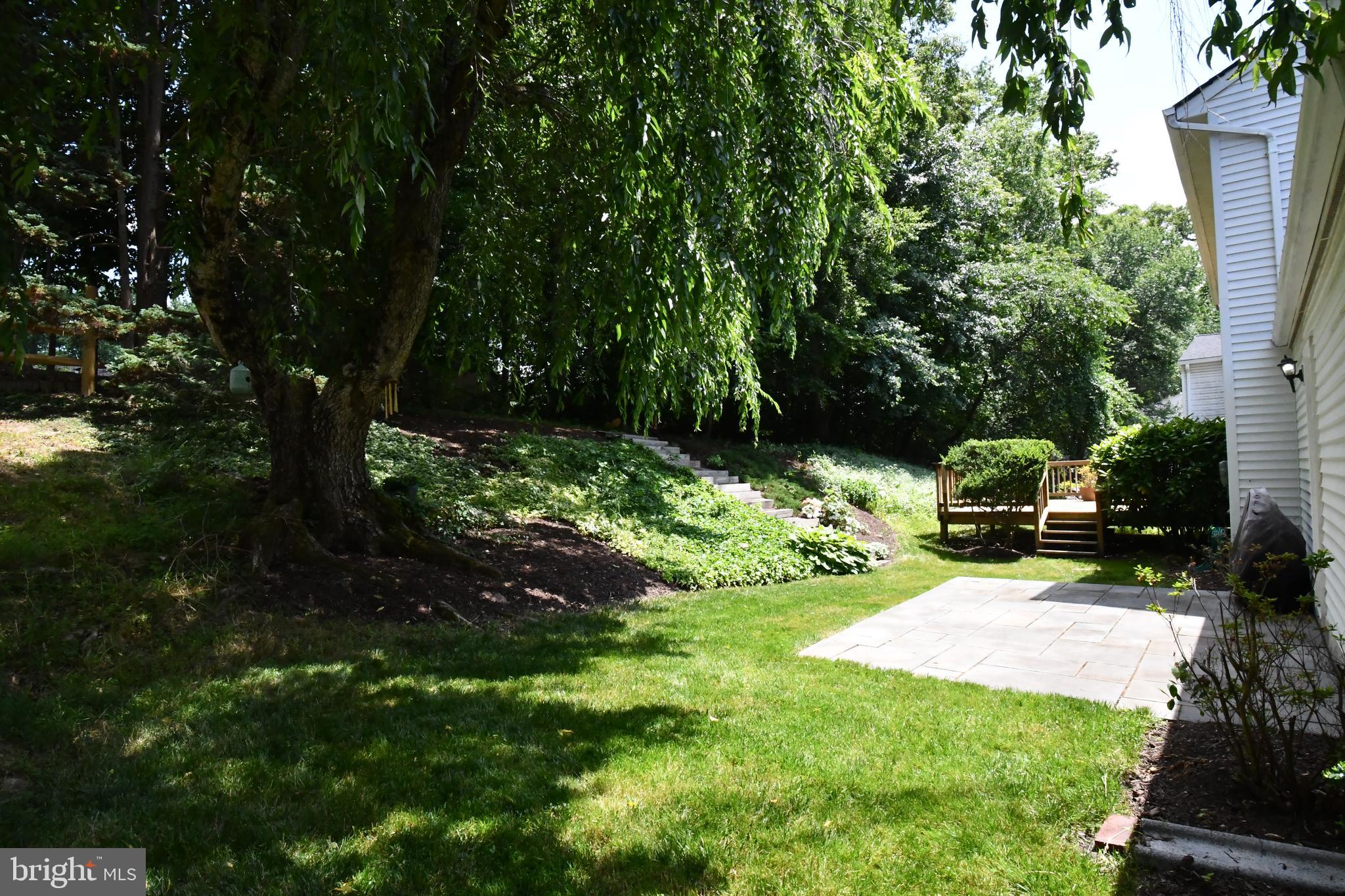 8017 Diving Cliff Lane Springfield, VA 22153 - Photo 14 of 32 Garden