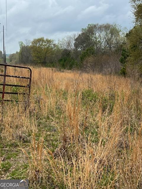 0 Holly Street Hartwell, GA 30643 - Photo 2 of 4 a view of lake with green space