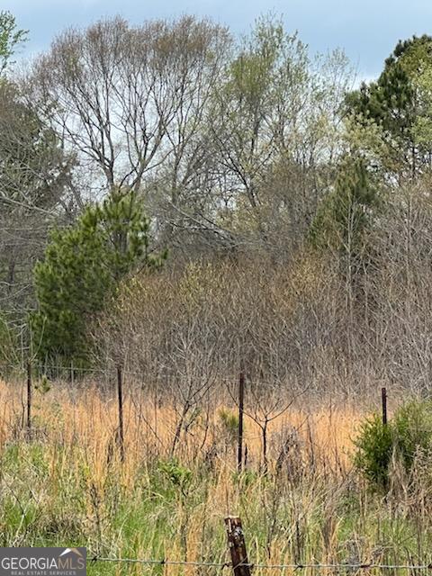 0 Holly Street Hartwell, GA 30643 - Photo 4 of 4 a backyard of a house with lots of green space and fog