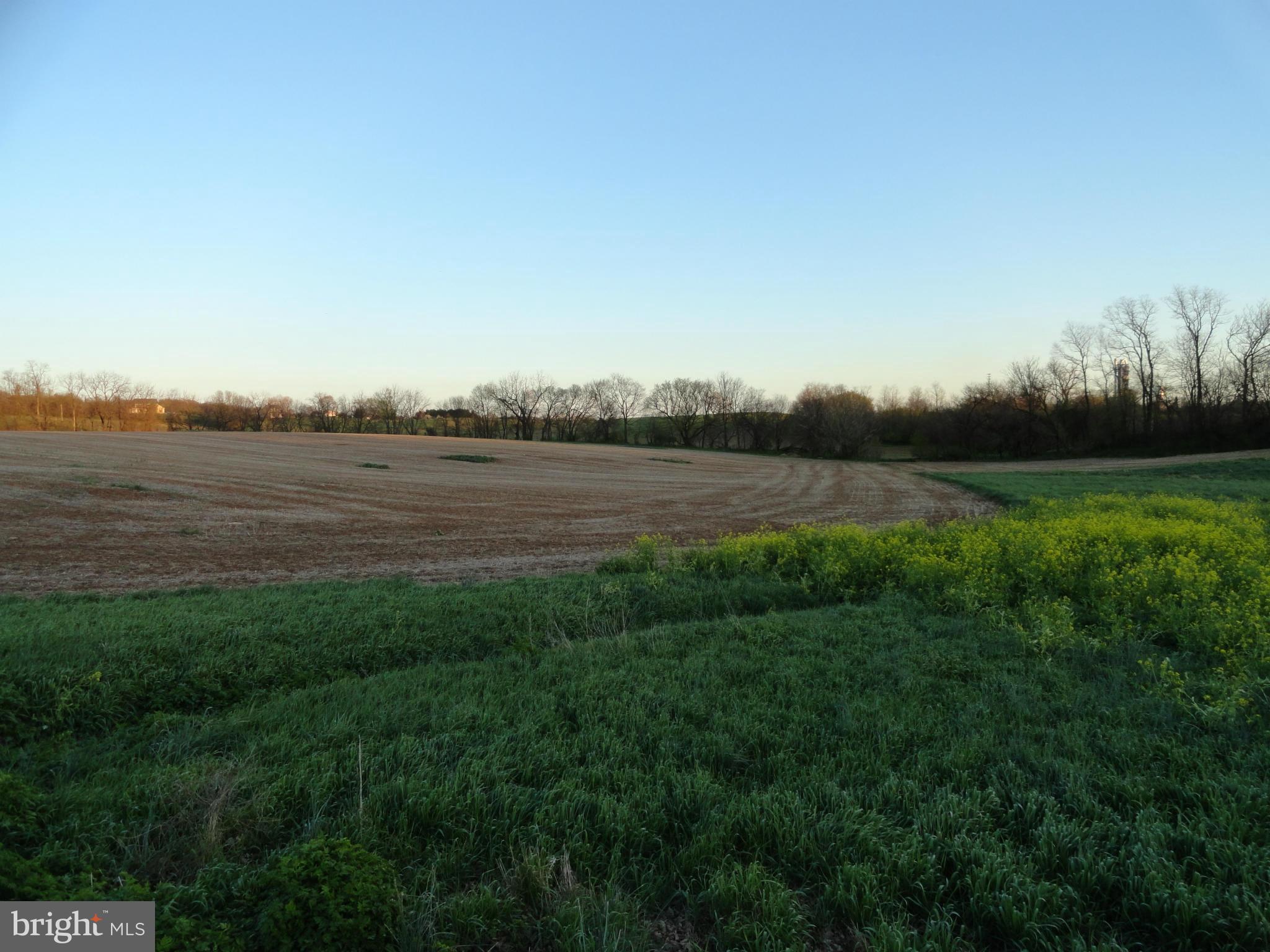 4755 Bark Hill Road Union Bridge, MD 21791 - Photo 12 of 12 View