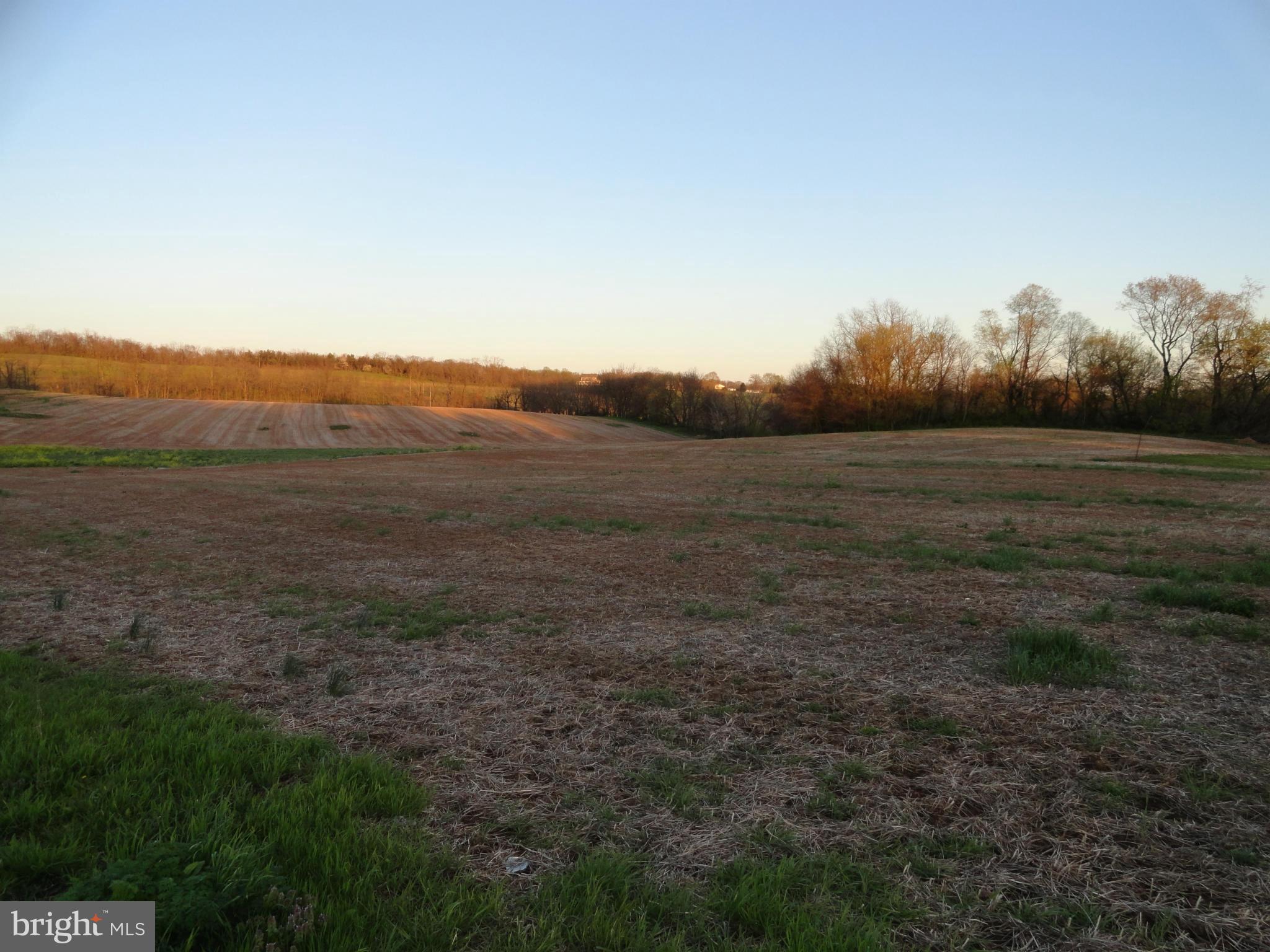 4755 Bark Hill Road Union Bridge, MD 21791 - Photo 8 of 12 View