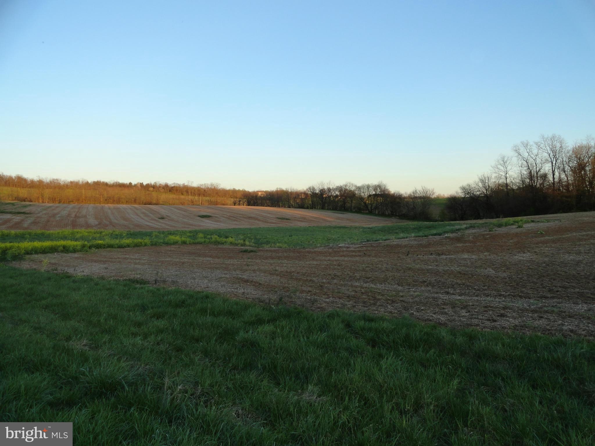 4755 Bark Hill Road Union Bridge, MD 21791 - Photo 10 of 12 View