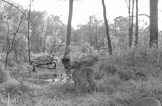 $975,000 | 3114 County Road 212, Water Valley, MS 38965