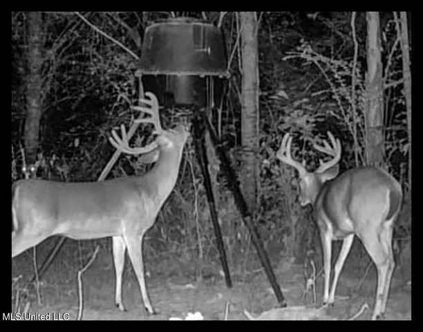 $975,000 | 3114 County Road 212, Water Valley, MS 38965