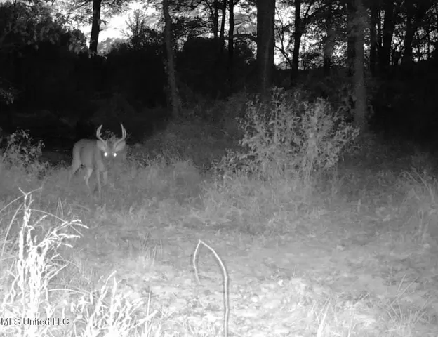 $975,000 | 3114 County Road 212, Water Valley, MS 38965