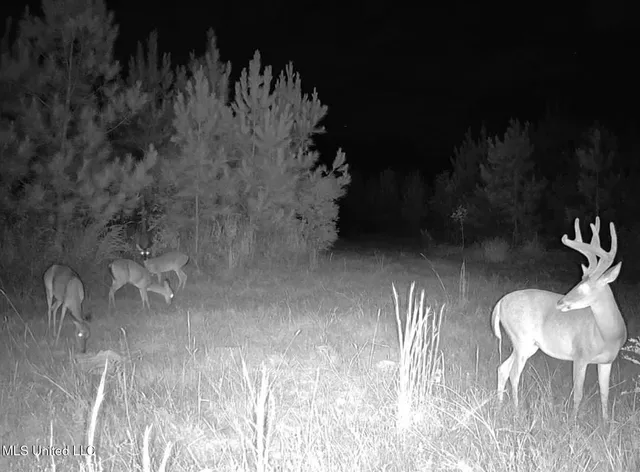 $975,000 | 3114 County Road 212, Water Valley, MS 38965