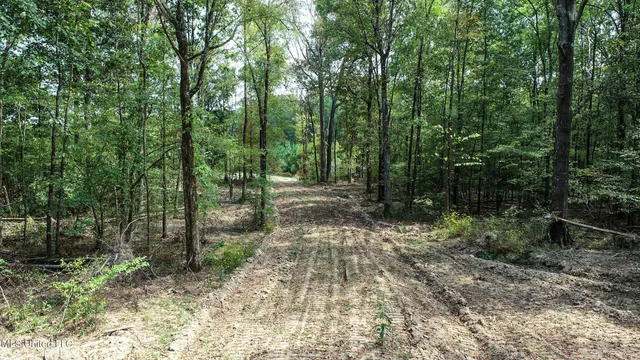 $975,000 | 3114 County Road 212, Water Valley, MS 38965