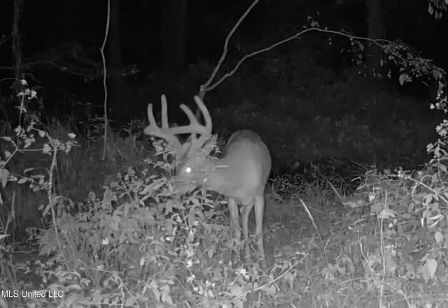 $975,000 | 3114 County Road 212, Water Valley, MS 38965