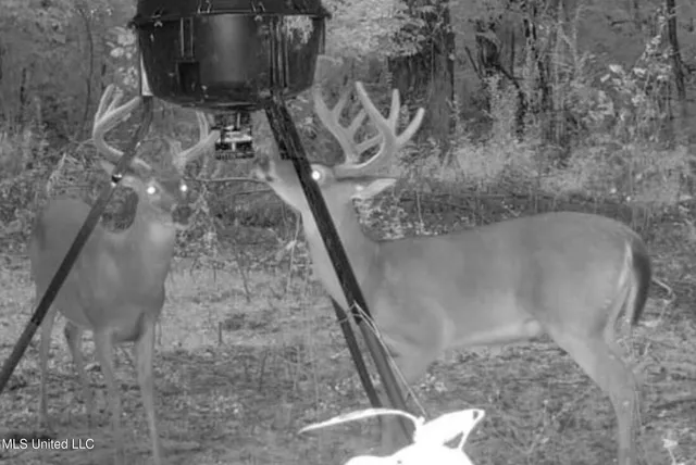 $975,000 | 3114 County Road 212, Water Valley, MS 38965