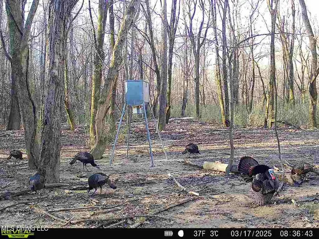 $975,000 | 3114 County Road 212, Water Valley, MS 38965