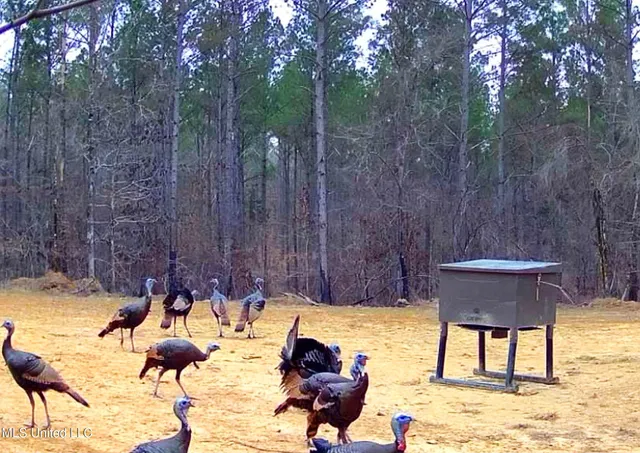 $975,000 | 3114 County Road 212, Water Valley, MS 38965