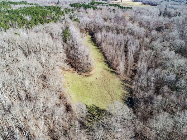 $975,000 | 3114 County Road 212, Water Valley, MS 38965