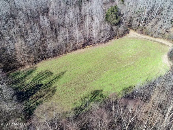 $975,000 | 3114 County Road 212, Water Valley, MS 38965