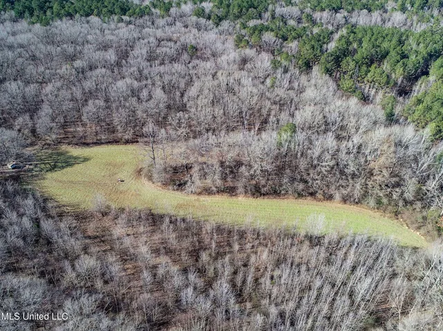 $975,000 | 3114 County Road 212, Water Valley, MS 38965