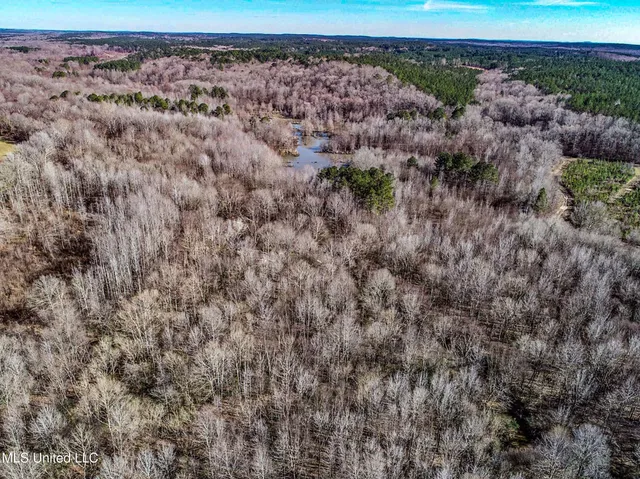 $975,000 | 3114 County Road 212, Water Valley, MS 38965