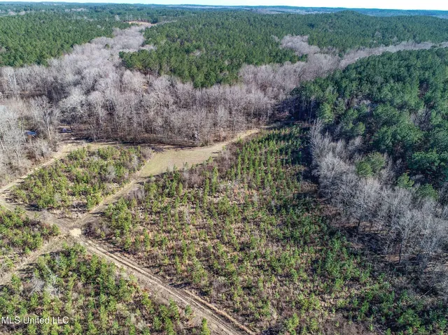 $975,000 | 3114 County Road 212, Water Valley, MS 38965