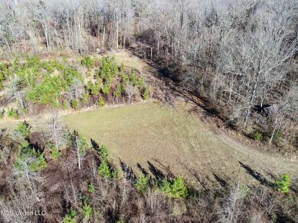 $975,000 | 3114 County Road 212, Water Valley, MS 38965